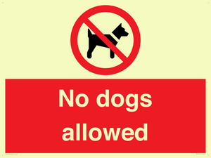 No dogs allowed